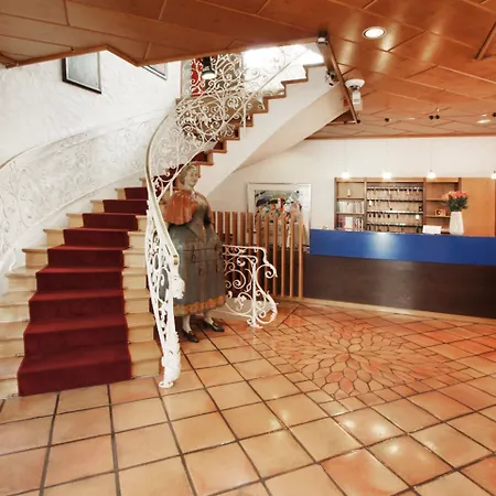 酒店 黑森林酒店 弗赖堡