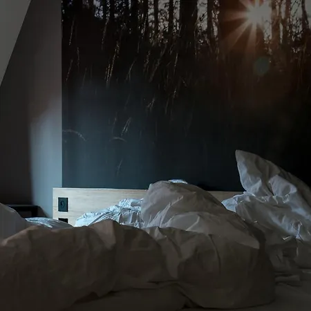 黑森林酒店 酒店